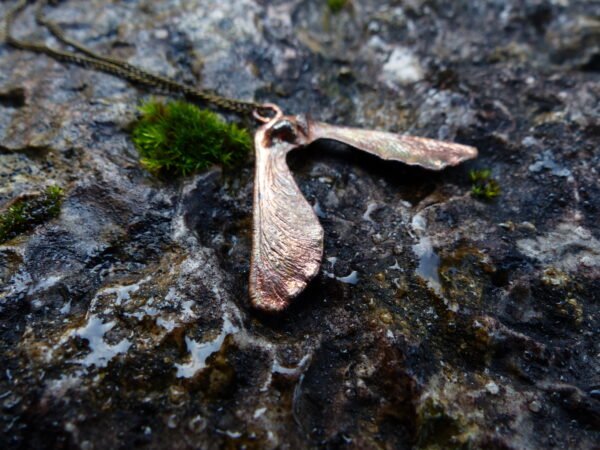 Les ailes jumelles – Image 2