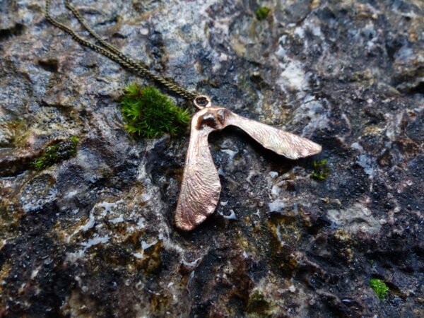 Les ailes jumelles – Image 3