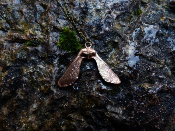 Les ailes jumelles – Image 4