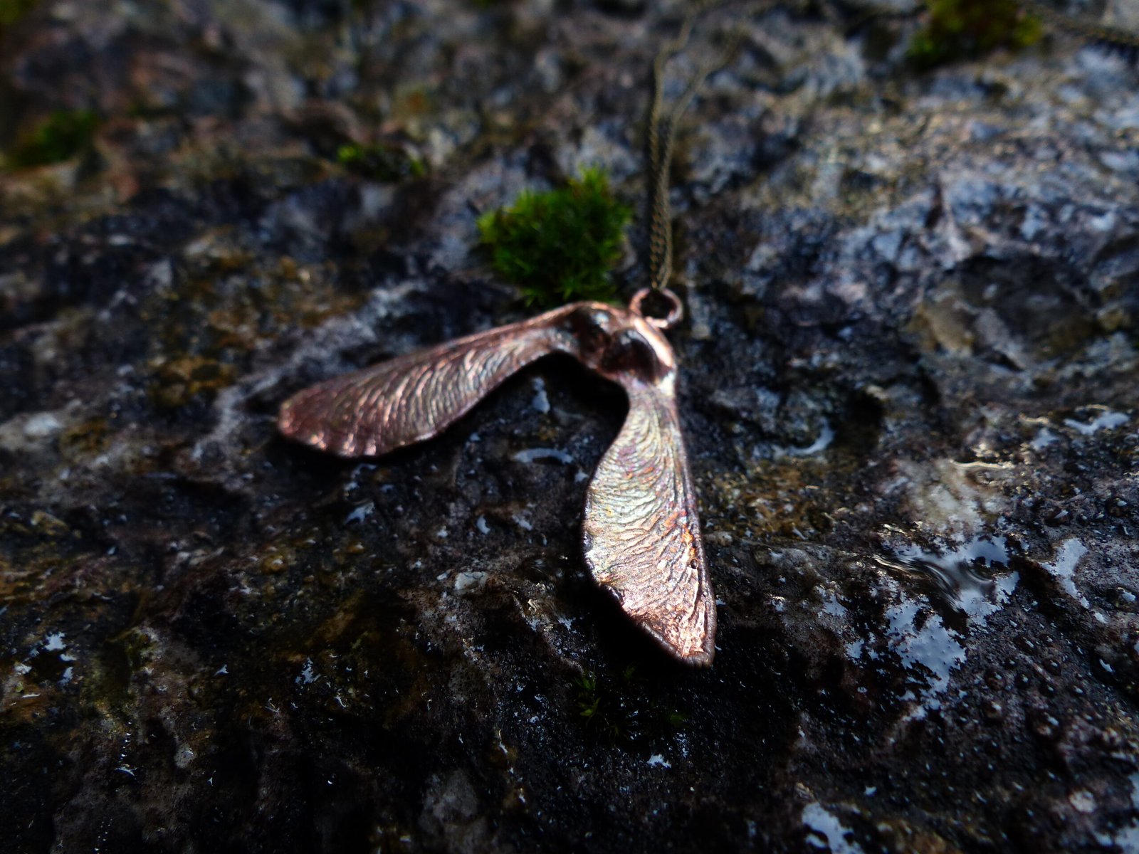 Les ailes jumelles